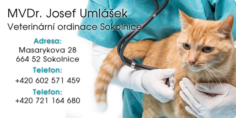 Veterina Sokolnice
